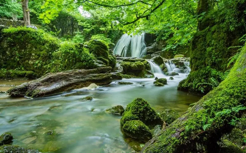 电子高精度绿色